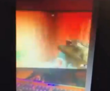 Someone remember this? Looking back at this leak gives me so much nostalgia:,)