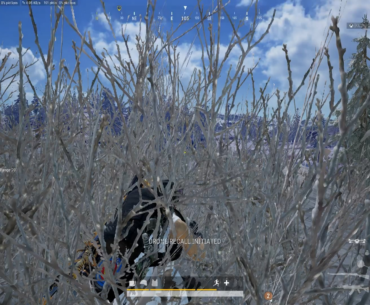 New bug, at least to me.