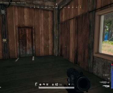 pure instinct