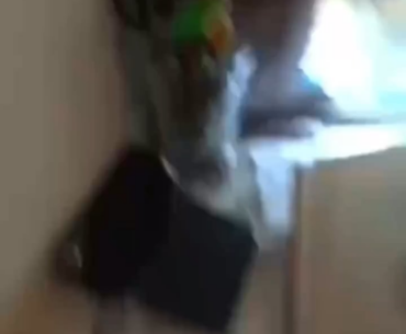 Easter egg steps