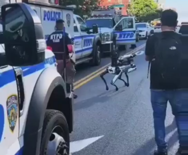 The NYPD have begun using robot dogs