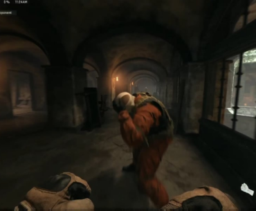 The guards don't appreciate it when you punch them in the face.