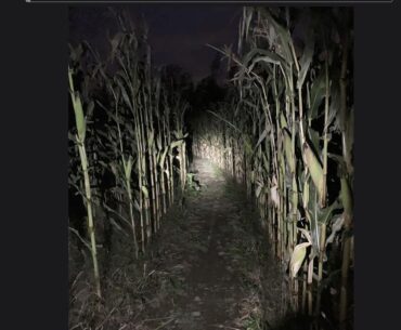 They are about to find Nacht for the first time