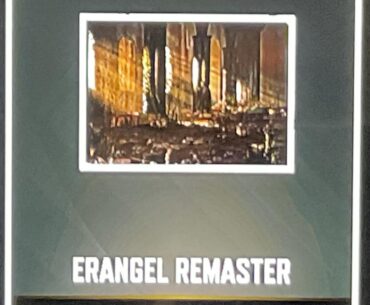 Can someone show this background please. And can I showcase weapons there or its just background like basic one? Thank you