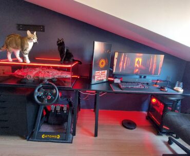 The rough one before final cable management and PSVR2 (and proof I didn't retire the kitty).