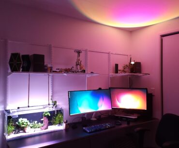Those sunset lights are underrated