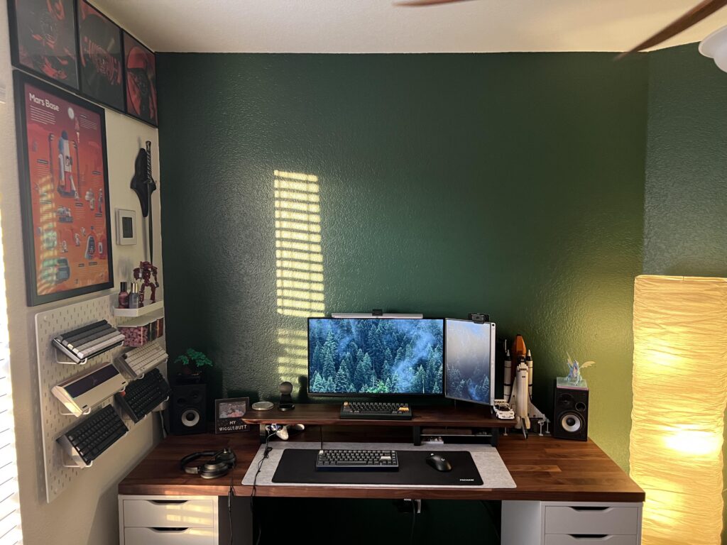 Settling in to the new house