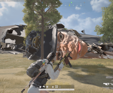 Interesting visual bugs