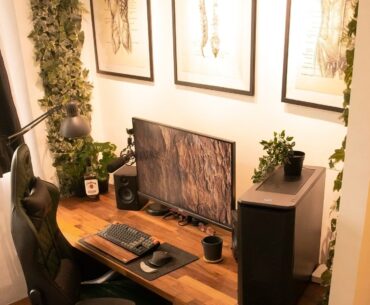 no rgb setup