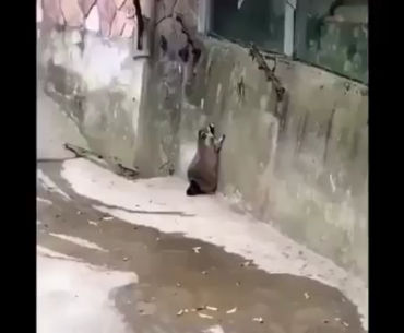 Trying to jump over anything in MW