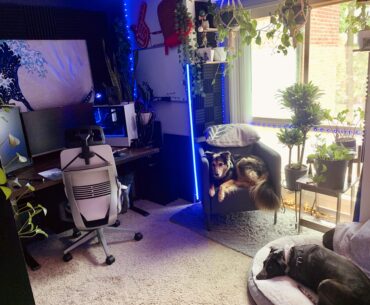 Updating the vibe in my office