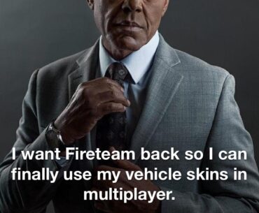Make Vehicle Skins Relevant Again