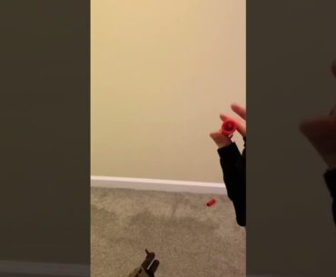 Spas-12 she’ll catch #airsoft #guns #reloading #reload #firstpersonshooter #callofduty #videogames