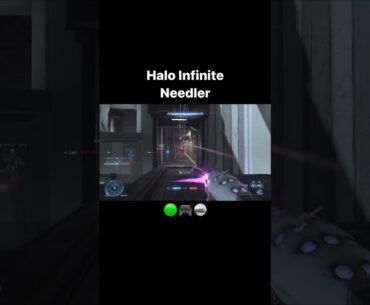 Halo Infinite Needler #shorts