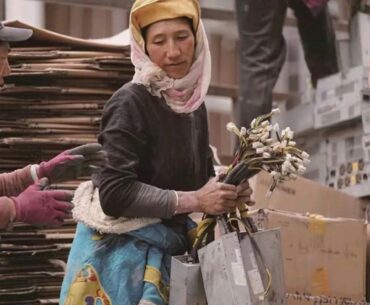 Tibetan woman holding flowers, only they're not flowers they're cryptocurrency mining PSUs.