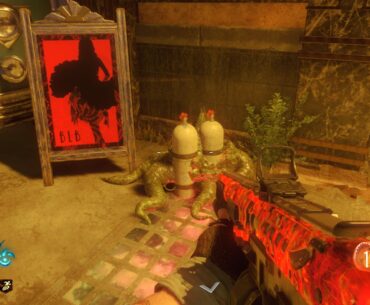 played shadows many times before but i never seen this what is this