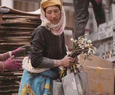 Tibetan woman holding flowers, only they're not flowers they're cryptocurrency mining PSUs.