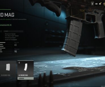 Why can't I use the 45 round mag on the ISO despite max weapon level?