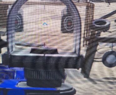 Sight Bugs
