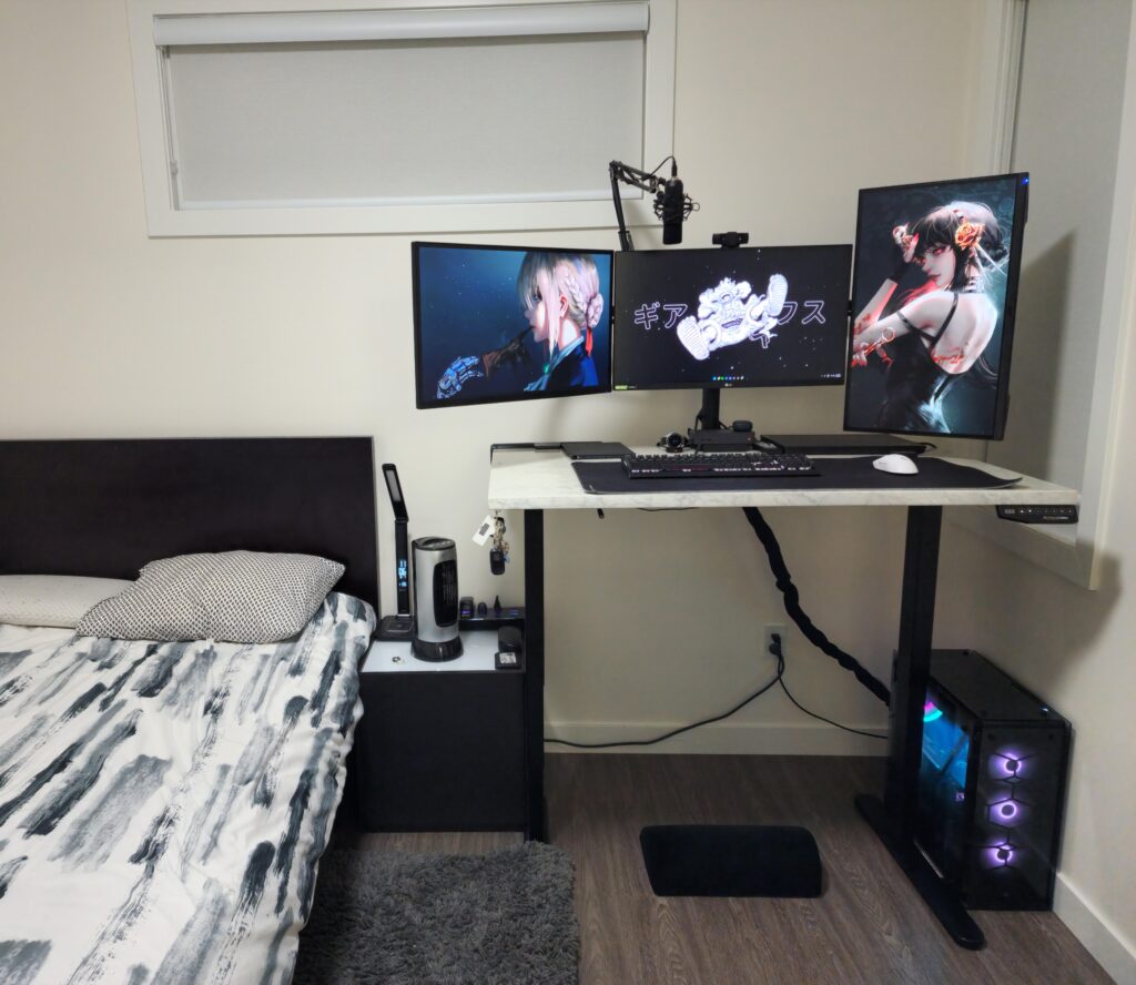 Personal and Remote Work Setup