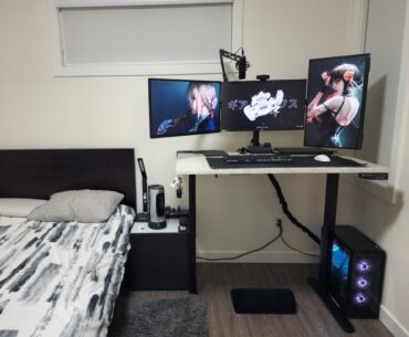 Personal and Remote Work Setup