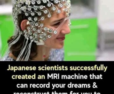 This seems like it could turn out interestingly. Especially with that head rig!