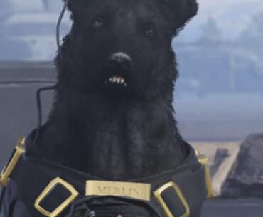 They gave the dog an overbite