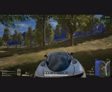 Car Glitches. PUBG’D.
