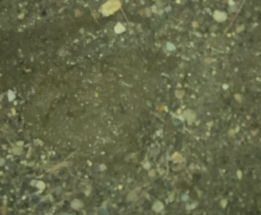 POV: Origins Mud
