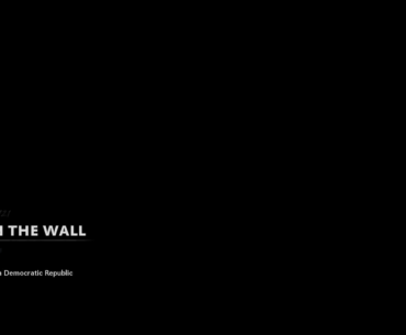 Brick in The Wall