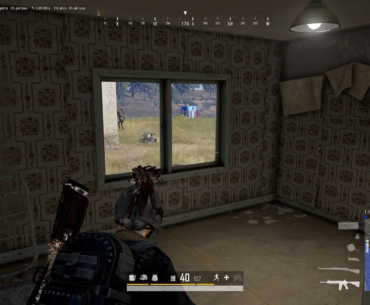 Panic! At the Window