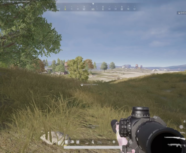 Bird hunting