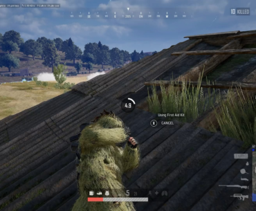 Chaos, and roof grass ftw