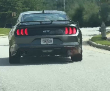 Okay, which one of you made this?