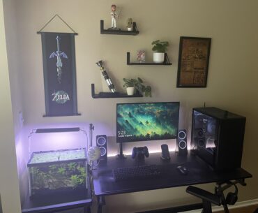 I wanted my gaming station to be filled with little things I'm passionate about and love. Zelda, star wars, fishkeeping, etc. I'm extremely happy with how it turned out!