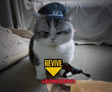 A meme I made for my boyfriend who just got into zombies, what should I tell him to look out for on his journey to play all the COD Zombie maps with me?