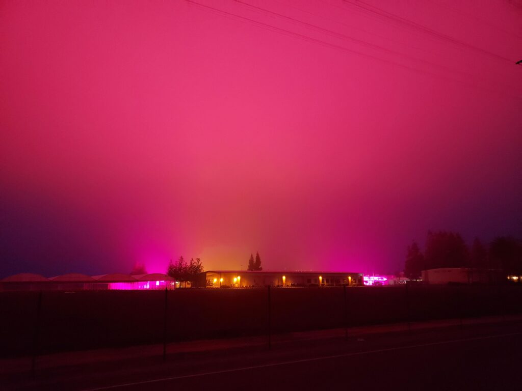 Rural cyberpunk: to compensate for the short winter days, ag corporations near my house are using grow lights that turn the skies pink for miles around.