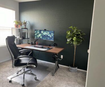 Looking for Advice pls