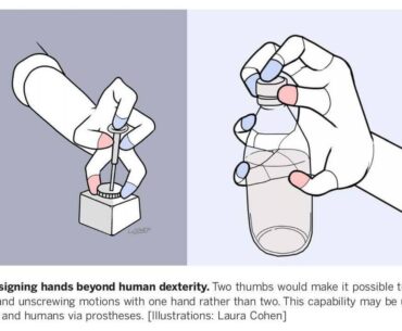 From a science review paper about robot manipulation.