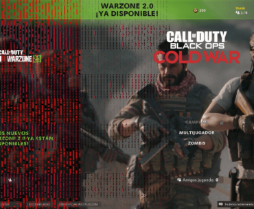 This is a Cold War glitch or my graphic card is breaking?