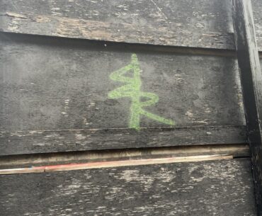 I found this today and it reminded me of David’s symbol
