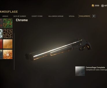 After 5 1/2 years I finally got chrome :')