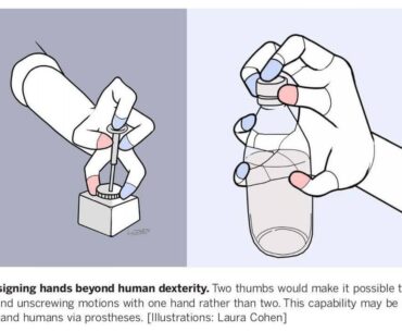 From a science review paper about robot manipulation.