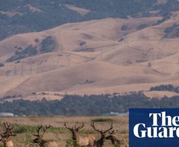 “Silicon Valley elites revealed as buyers of $800m of land to build utopian city.” Everyday we’re inching closer to Night City