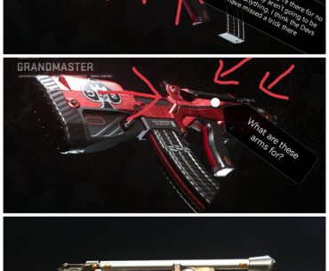 FR Advancer. Arguably one of the most sorted weapons ever to be released on a Call of Duty game. But what are these?