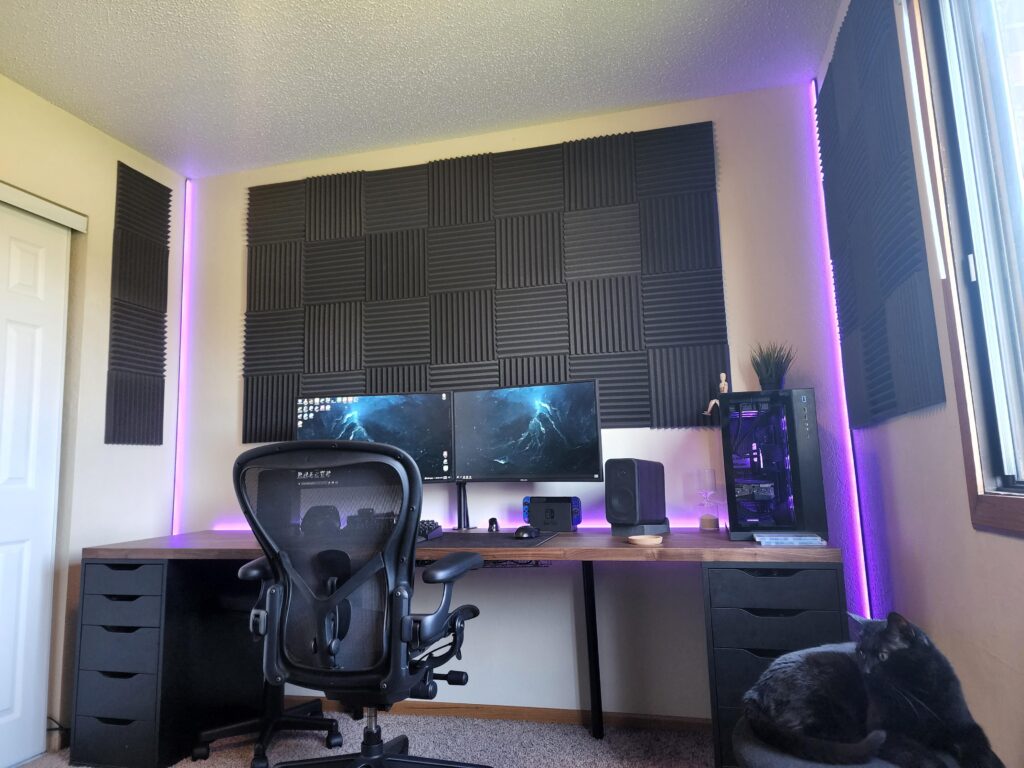 Can't remove the sound panels without ripping off the paint