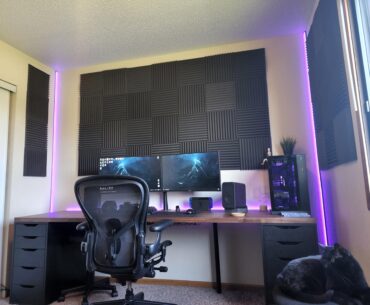 Can't remove the sound panels without ripping off the paint