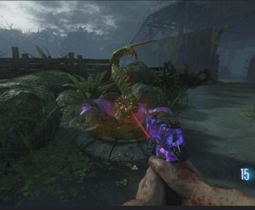 What’s a map you love simply for something that you do in real life like a hobby? For me it’s zetsubou no shima because I grow carnivorous plants.