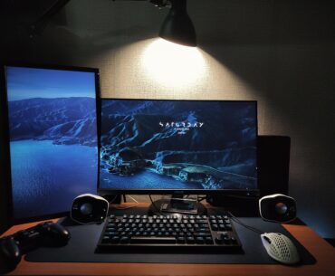 pretty simple budget battlestation