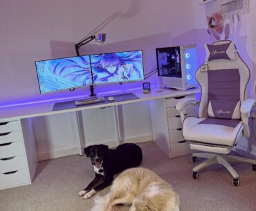 The best doggo's guarding my setup! I'm aware I have a few cables to extend in order to hide them, but I've come such a long way with my cable management that I'm super proud of my progress!